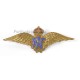 " Royal Air Force " RAF