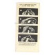 Lunettes Polaroid " Google M-1944 "