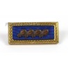 Presidential unit citation +