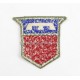 US ARMY patch :