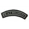 RAF arm insignia