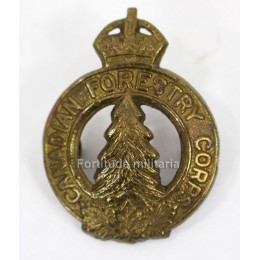 "Economy Kings Shropshire Light Infantry"
