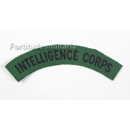 Intelligence corps