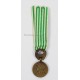 French "Dardanelles" medal