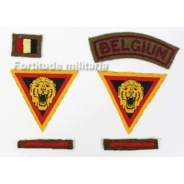 "Brigade Piron" insignias set