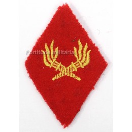 French M45 arm regimental insignia