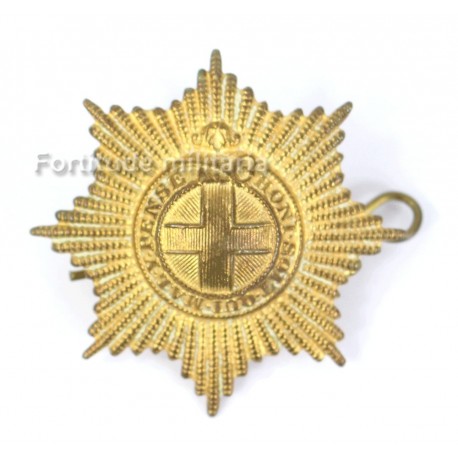 Cap Badge Coldtseam Guards