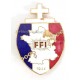 French patriotic badge