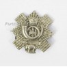 Cap Badge