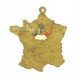 French patriotic badge